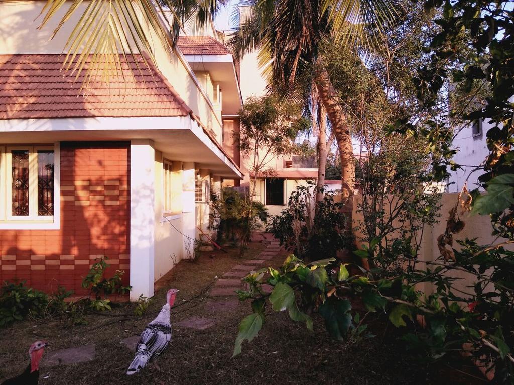 Jp Guest house *